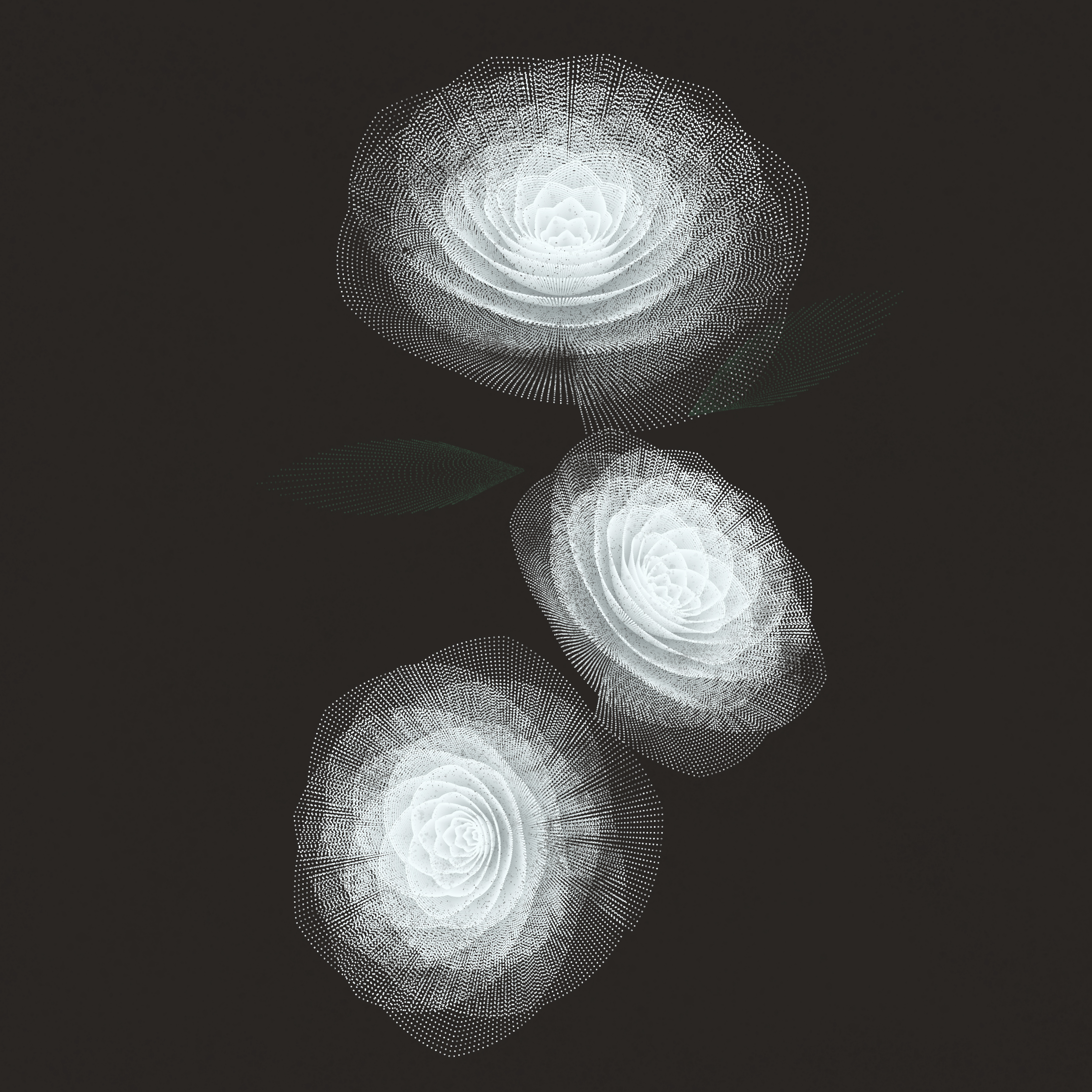 Flower Study #3